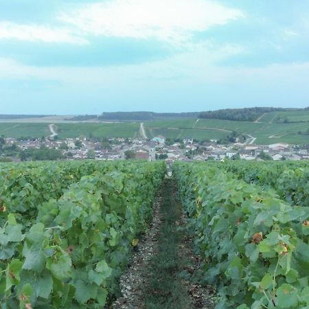 Une Parenthese En Champagne Jaucourt Exteriér fotografie