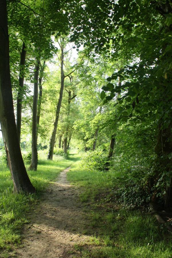 Une Parenthese En Champagne Jaucourt Exteriér fotografie