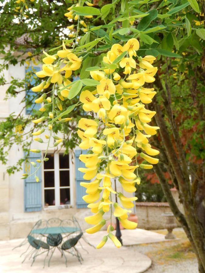 Une Parenthese En Champagne Jaucourt Exteriér fotografie