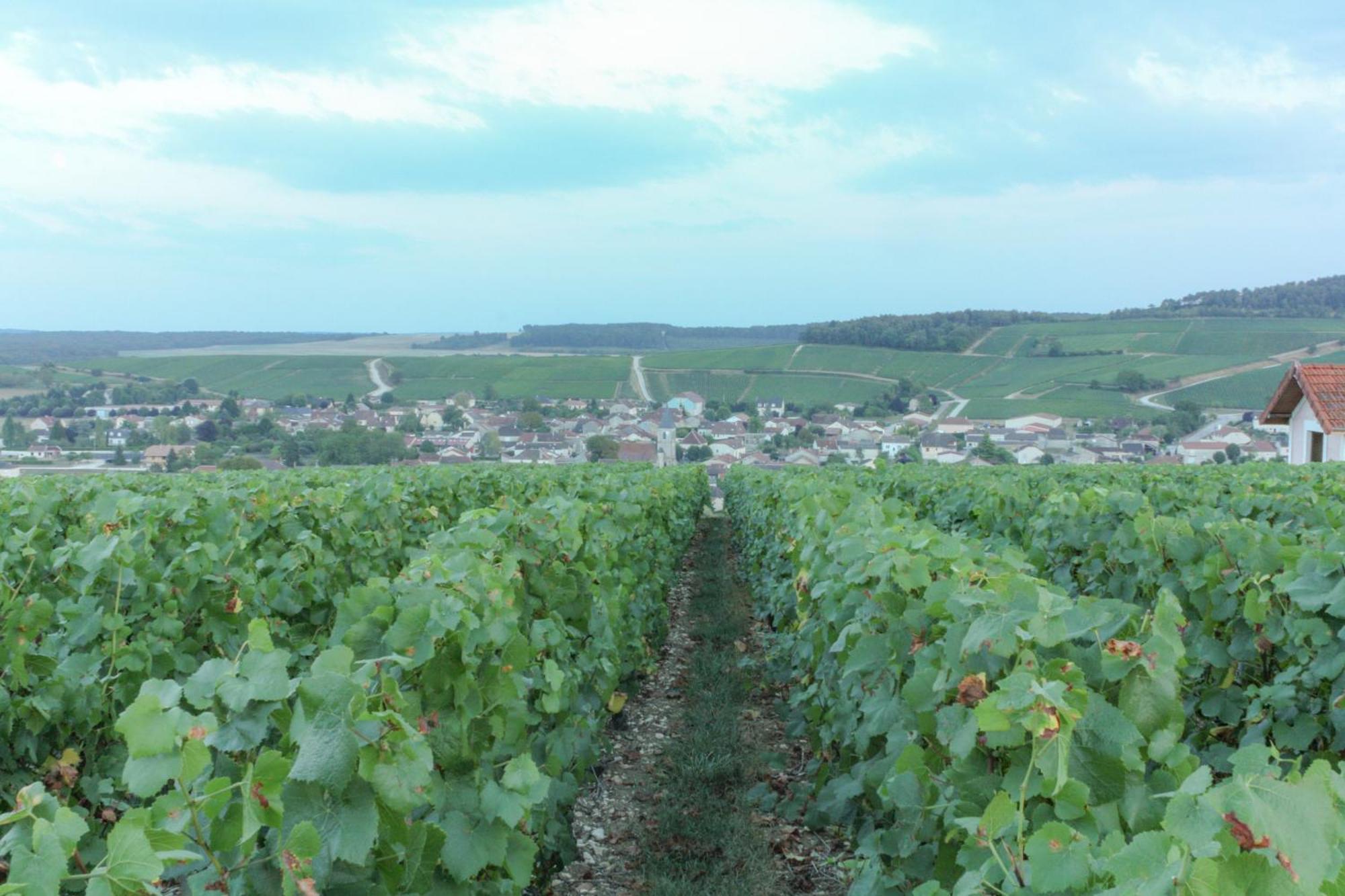 Une Parenthese En Champagne Jaucourt Exteriér fotografie